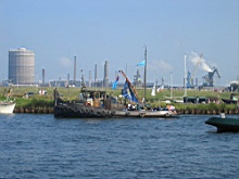 Sail-IJmuiden-IMG_6656.JPG